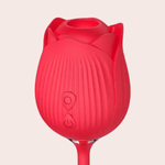 Sugador e Vibrador Rosa 10 modos
